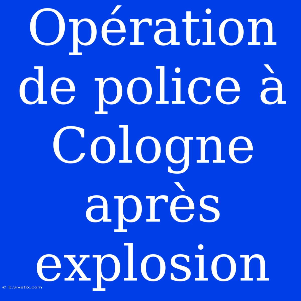 Opération De Police À Cologne Après Explosion