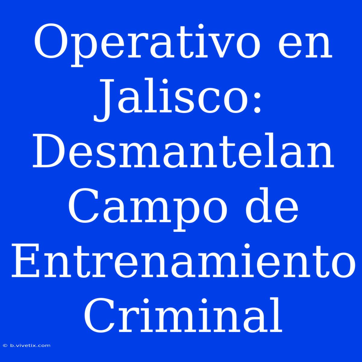 Operativo En Jalisco: Desmantelan Campo De Entrenamiento Criminal