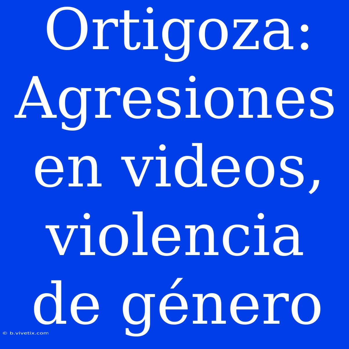 Ortigoza: Agresiones En Videos, Violencia De Género