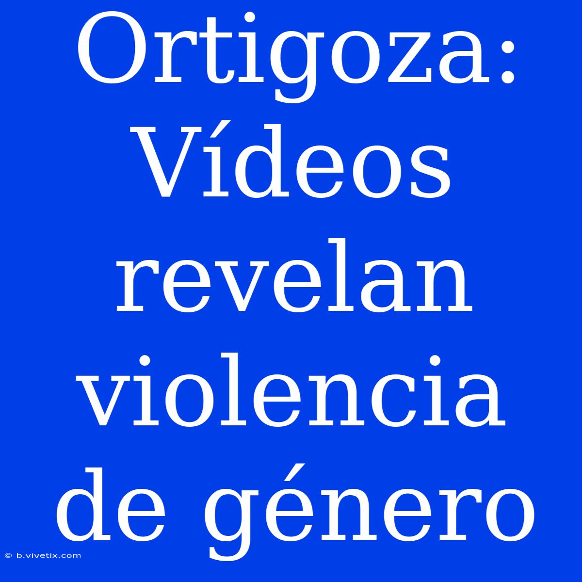 Ortigoza: Vídeos Revelan Violencia De Género