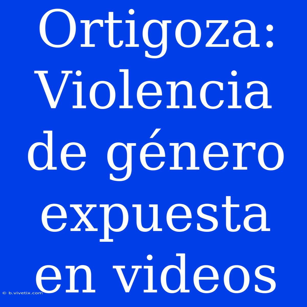 Ortigoza: Violencia De Género Expuesta En Videos