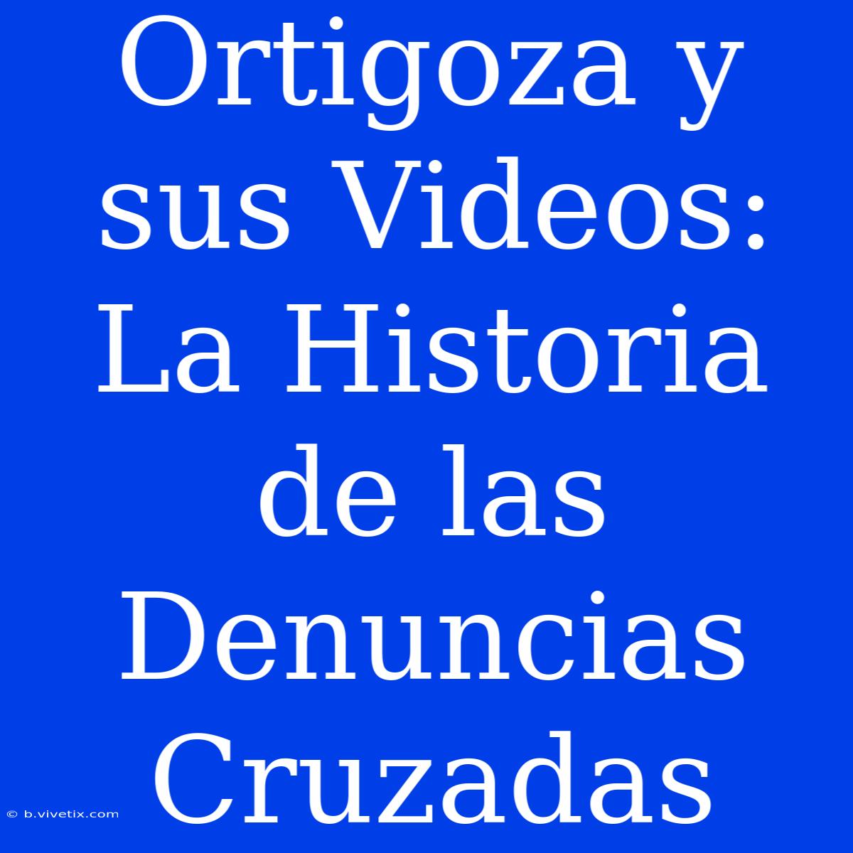 Ortigoza Y Sus Videos: La Historia De Las Denuncias Cruzadas