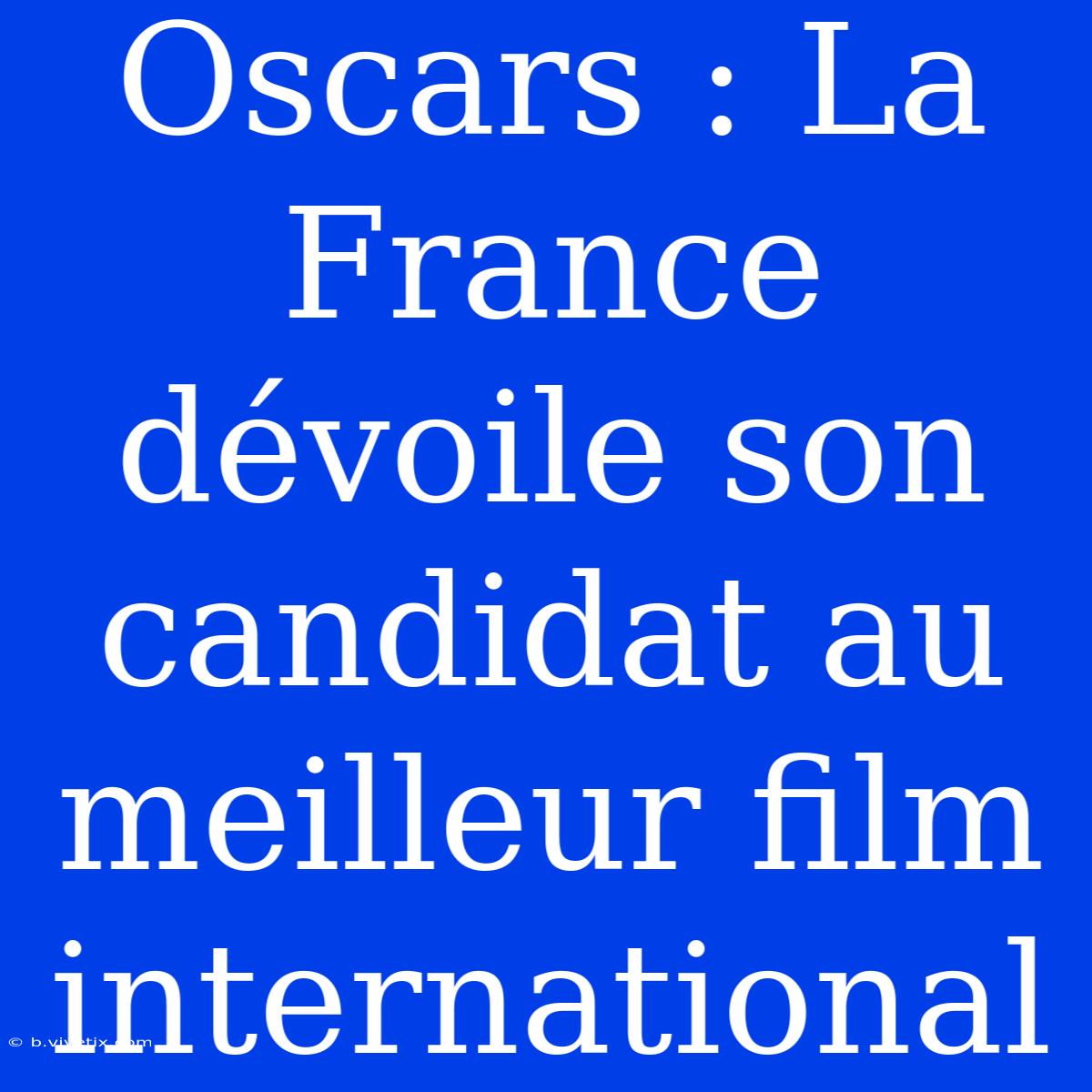 Oscars : La France Dévoile Son Candidat Au Meilleur Film International