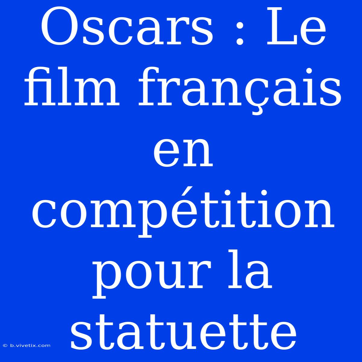 Oscars : Le Film Français En Compétition Pour La Statuette