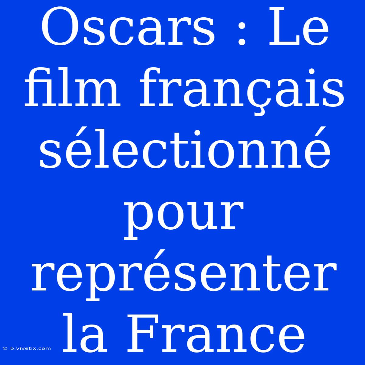 Oscars : Le Film Français Sélectionné Pour Représenter La France