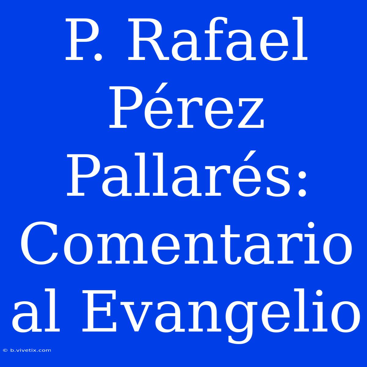 P. Rafael Pérez Pallarés: Comentario Al Evangelio