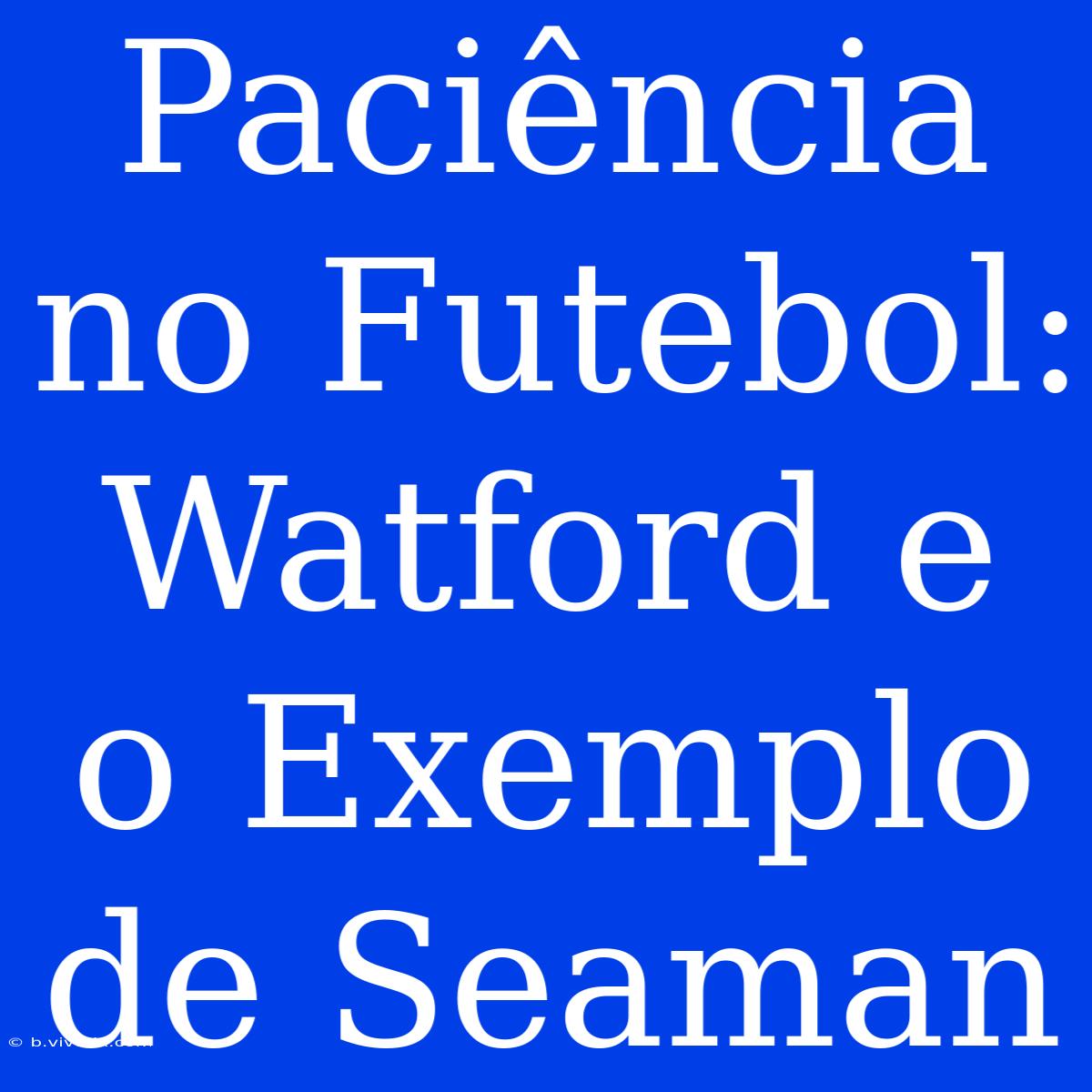 Paciência No Futebol: Watford E O Exemplo De Seaman