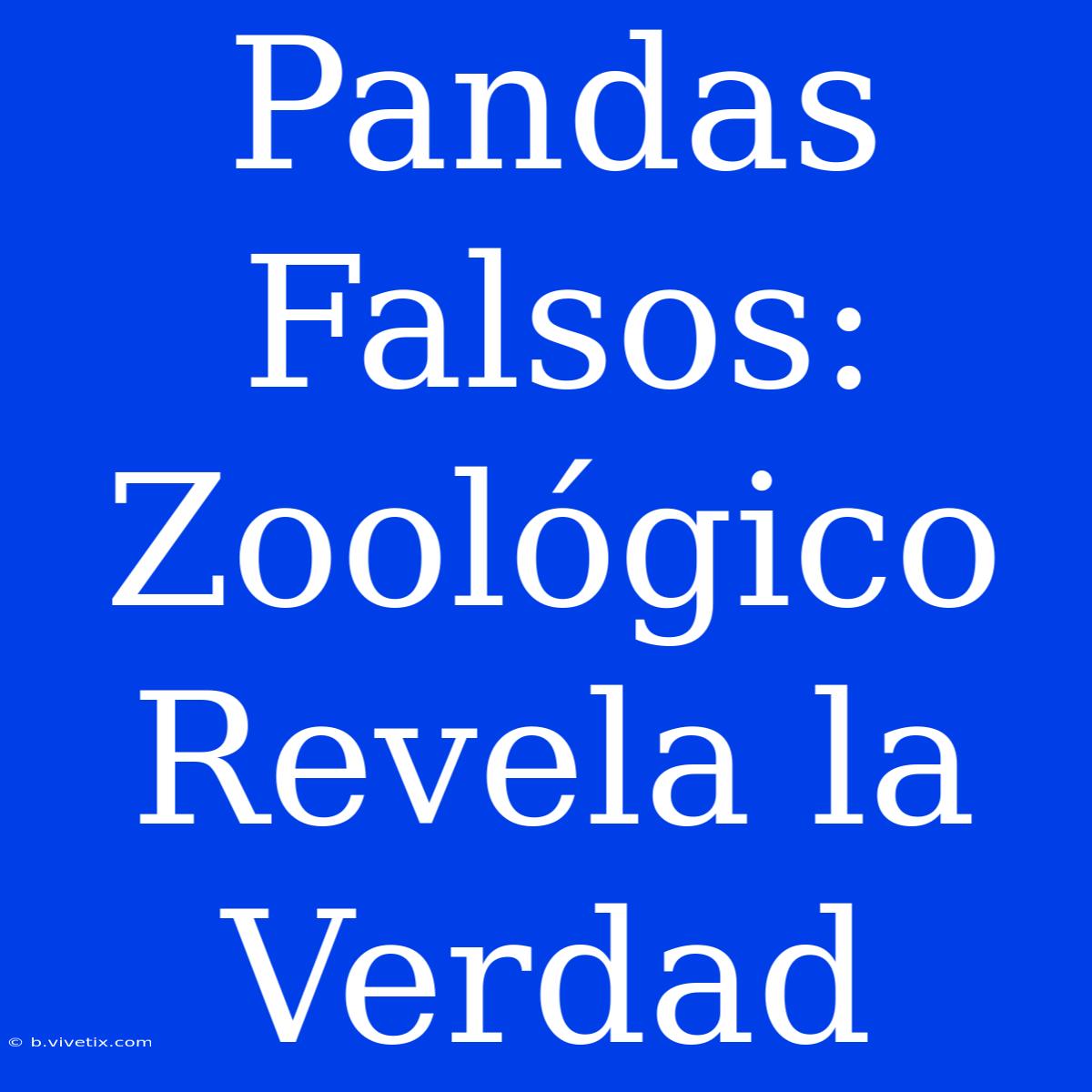 Pandas Falsos: Zoológico Revela La Verdad