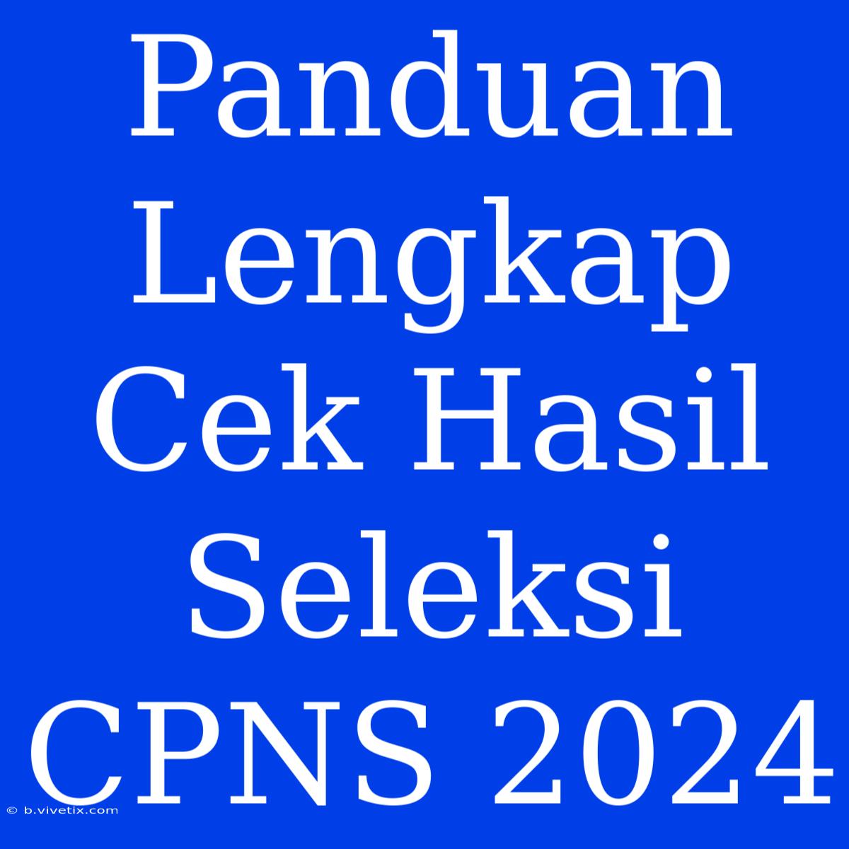 Panduan Lengkap Cek Hasil Seleksi CPNS 2024