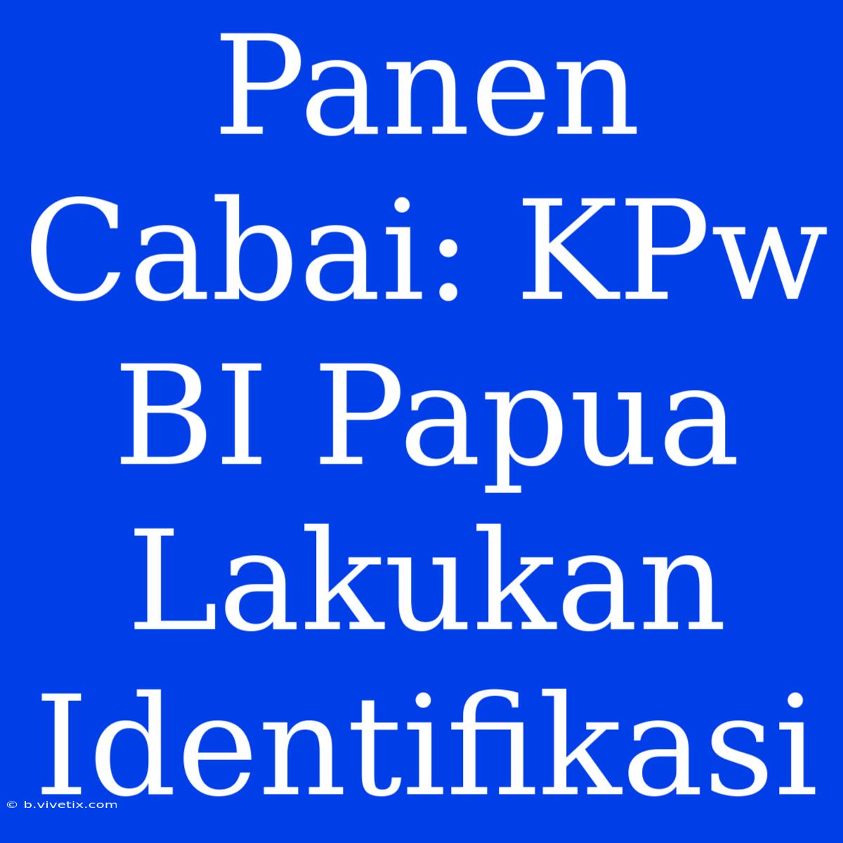 Panen Cabai: KPw BI Papua Lakukan Identifikasi