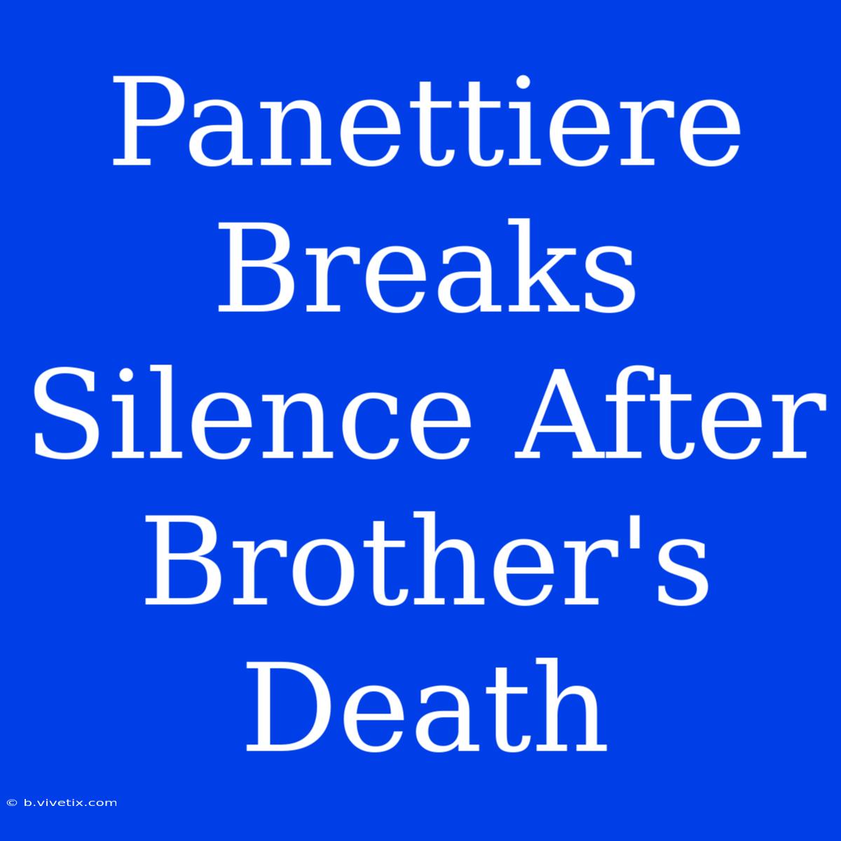 Panettiere Breaks Silence After Brother's Death