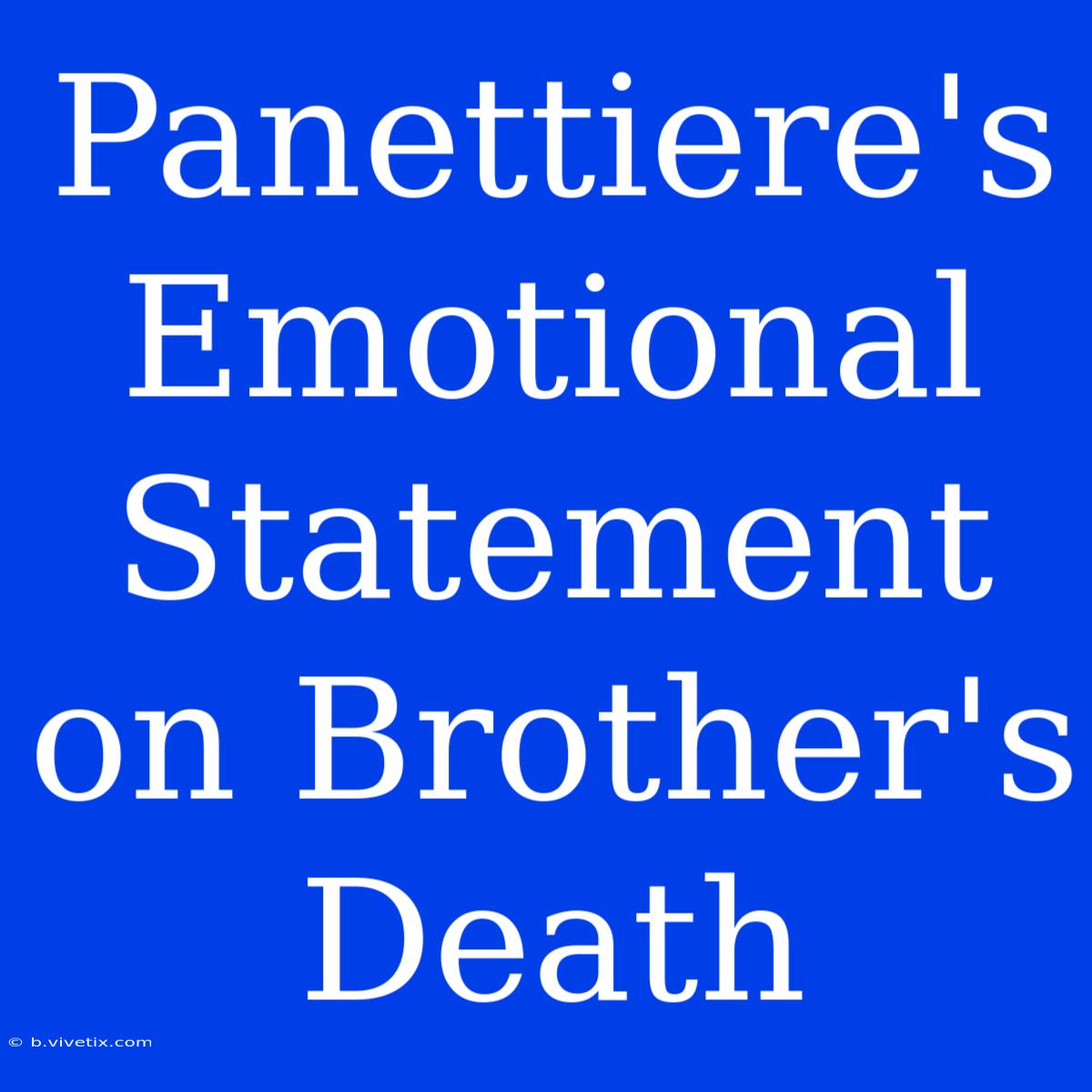 Panettiere's Emotional Statement On Brother's Death 