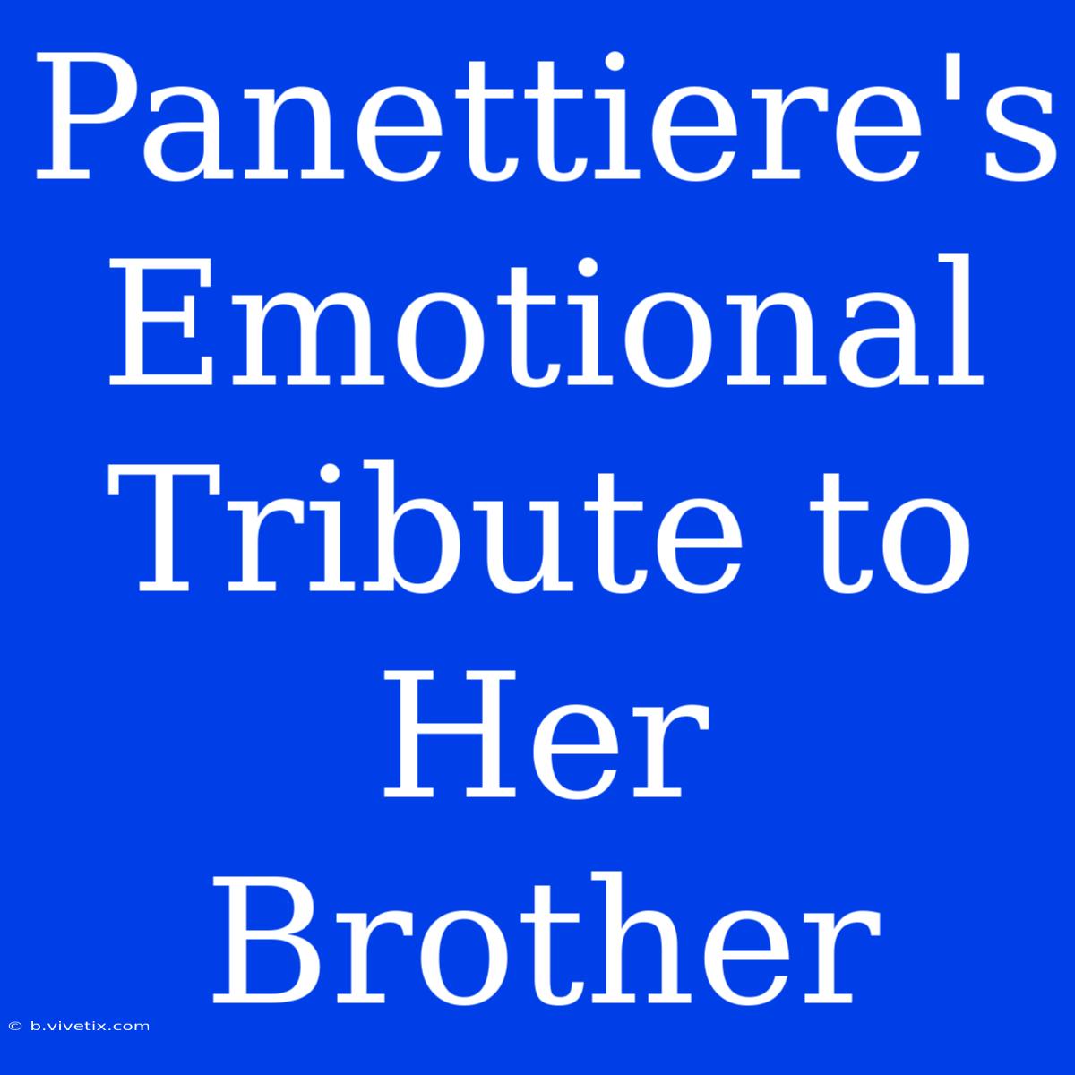 Panettiere's Emotional Tribute To Her Brother