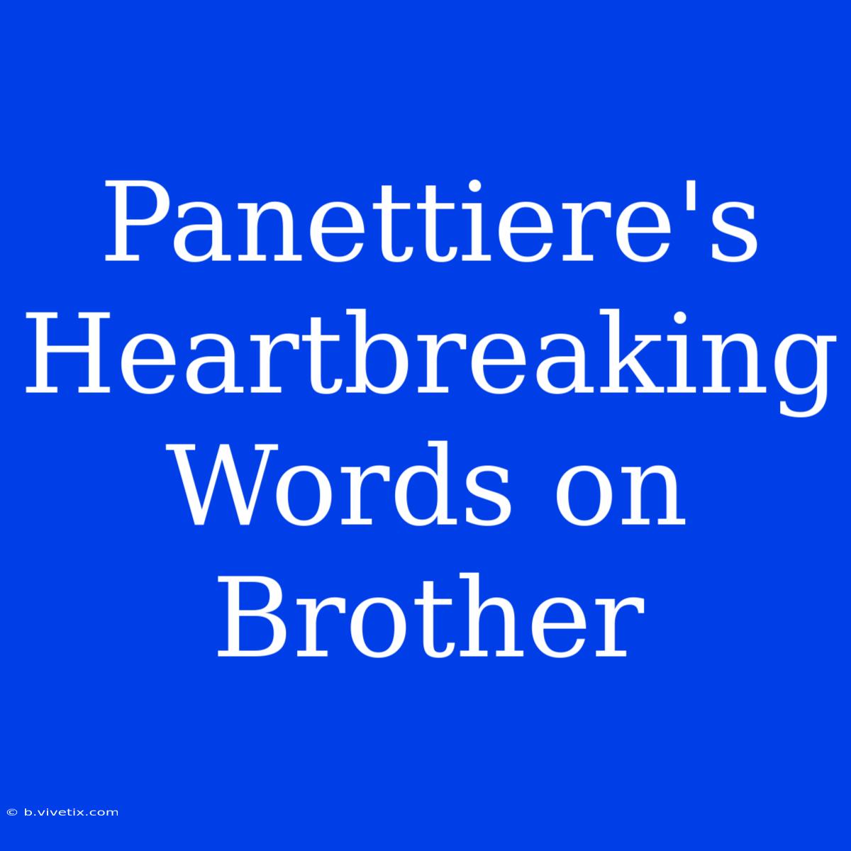 Panettiere's Heartbreaking Words On Brother