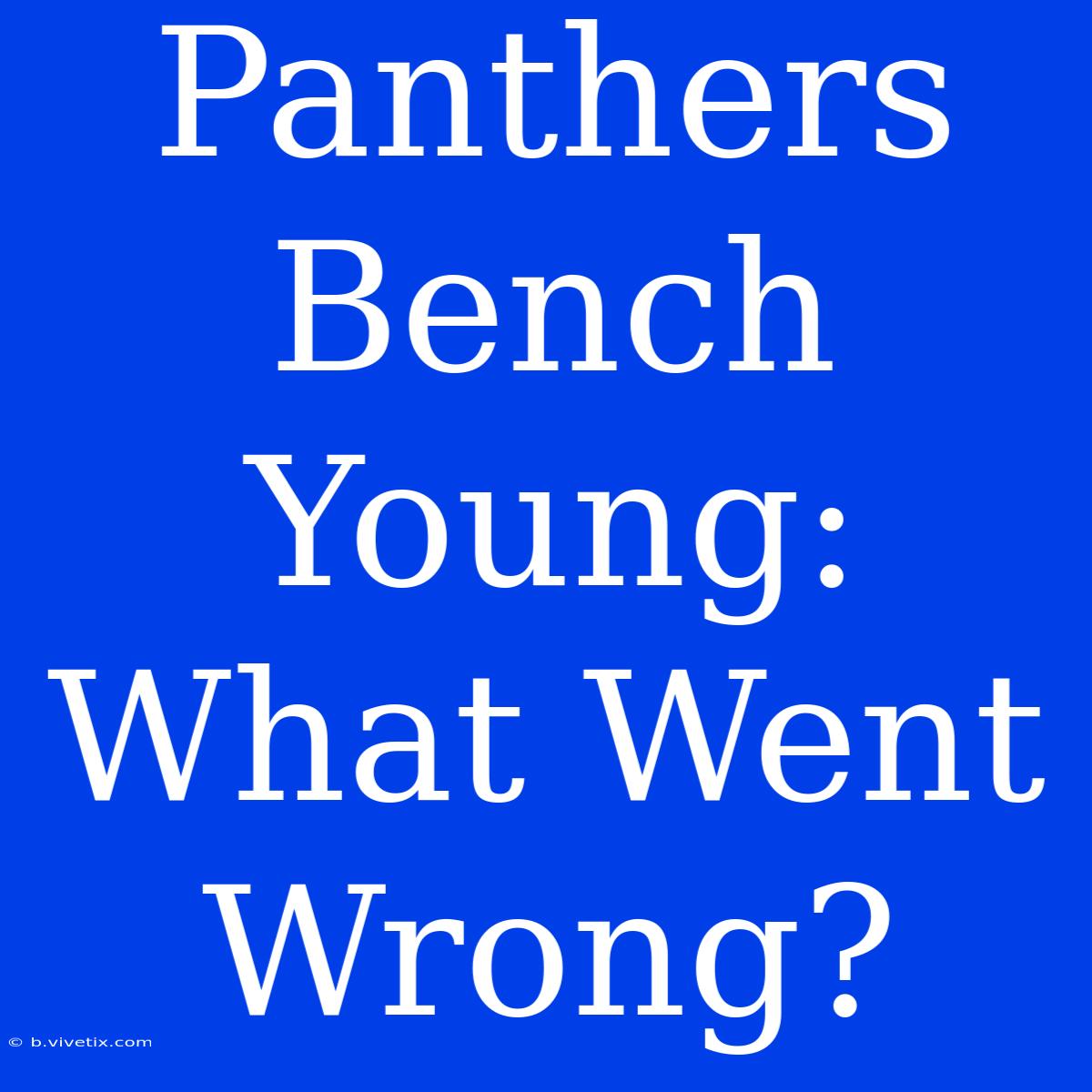 Panthers Bench Young: What Went Wrong?