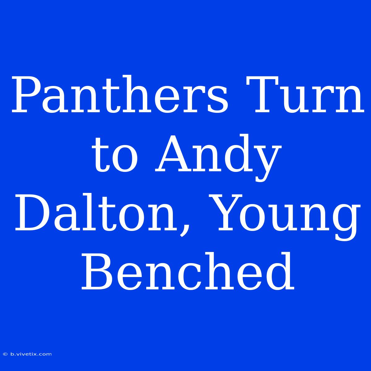 Panthers Turn To Andy Dalton, Young Benched