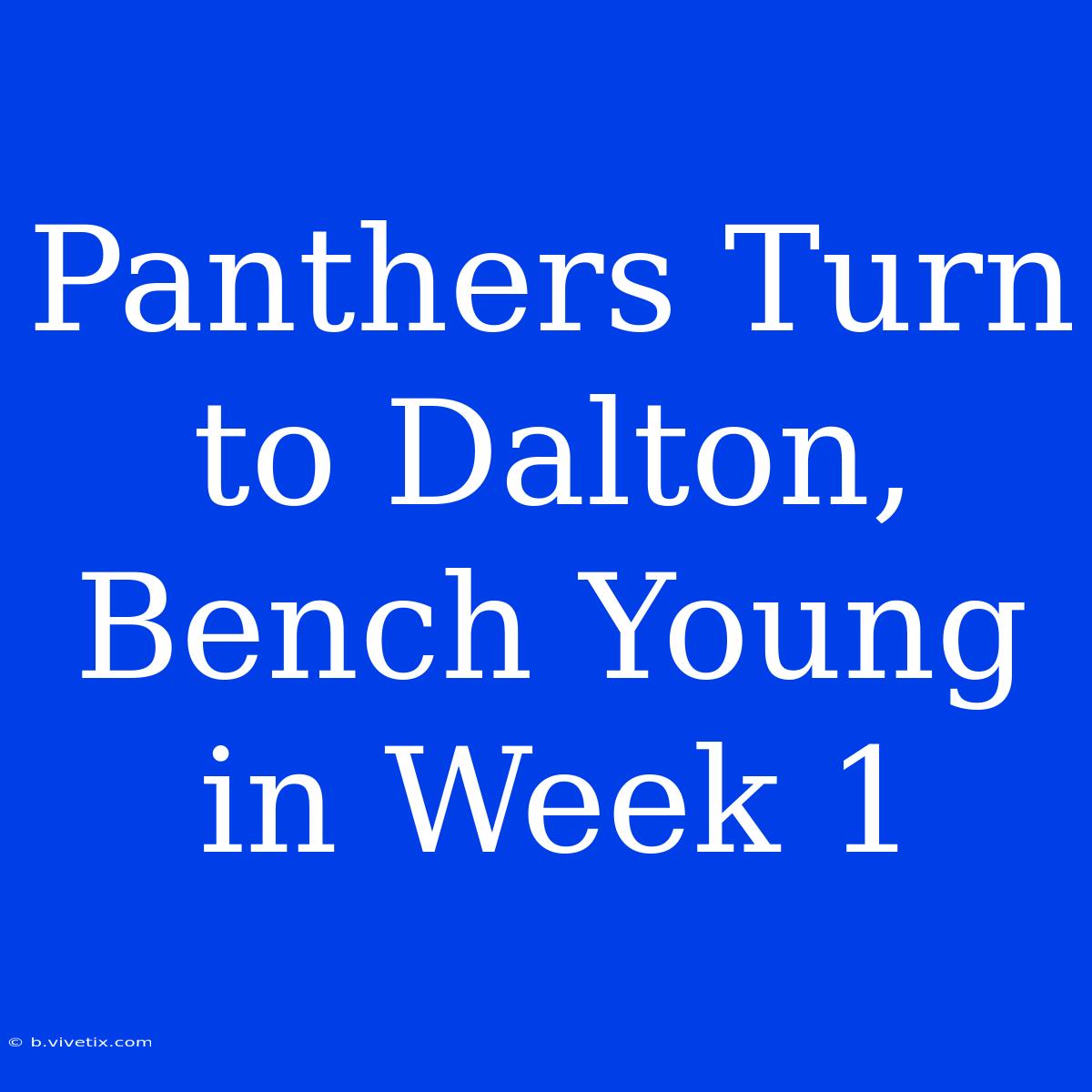 Panthers Turn To Dalton, Bench Young In Week 1