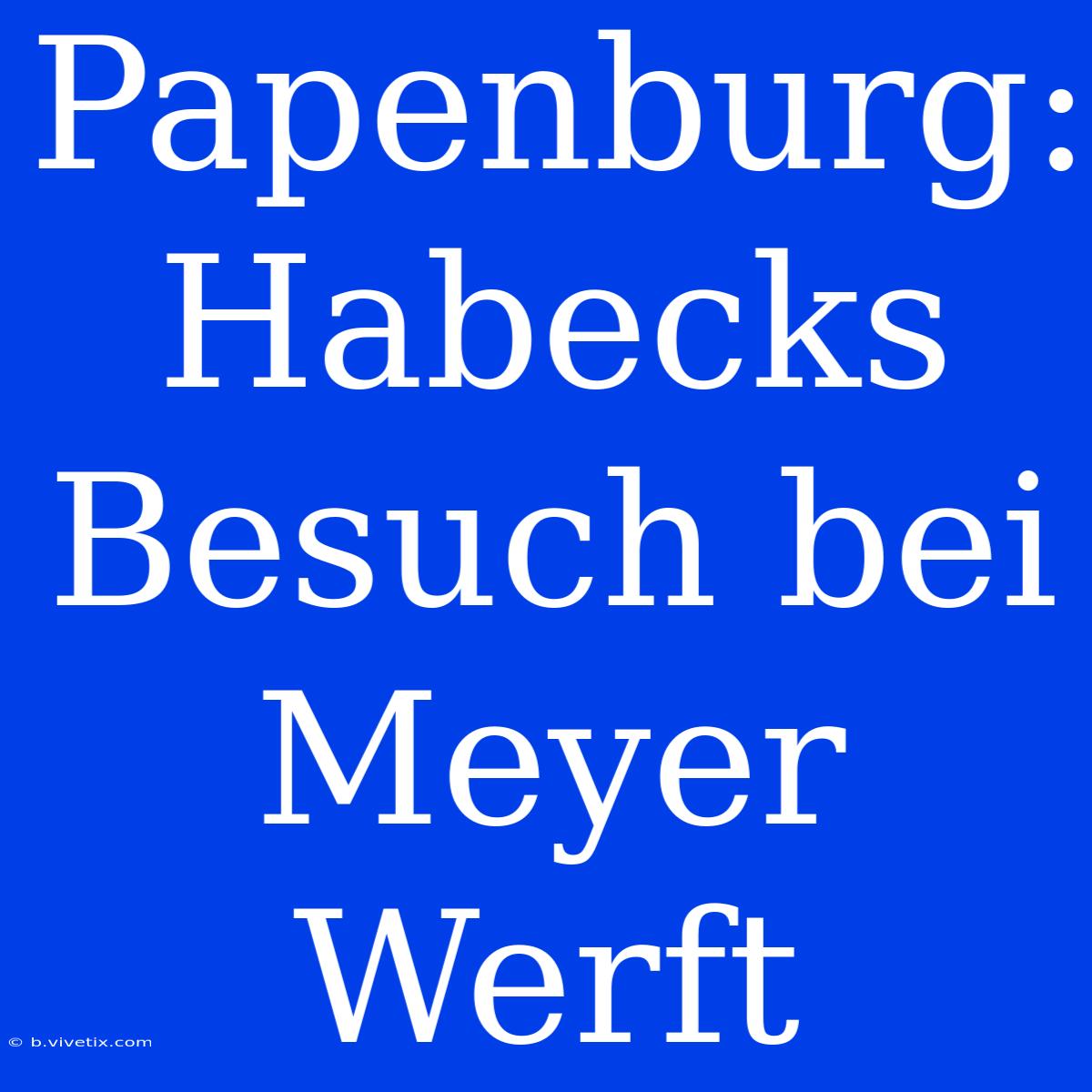 Papenburg: Habecks Besuch Bei Meyer Werft 