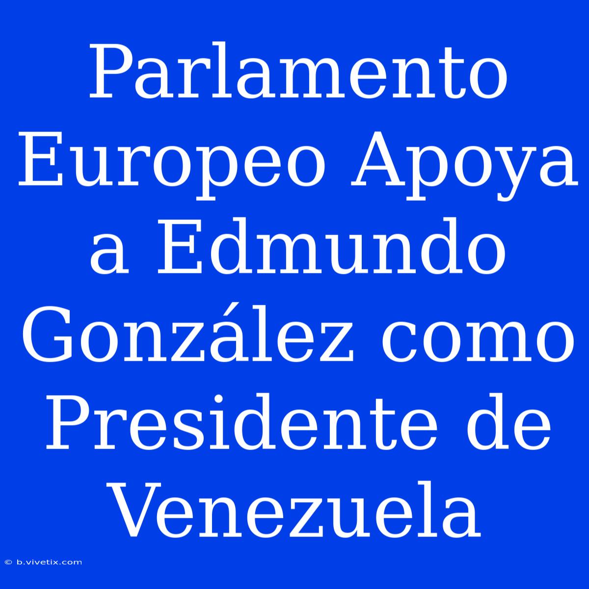 Parlamento Europeo Apoya A Edmundo González Como Presidente De Venezuela