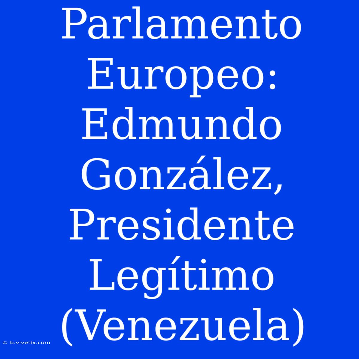 Parlamento Europeo: Edmundo González, Presidente Legítimo (Venezuela) 