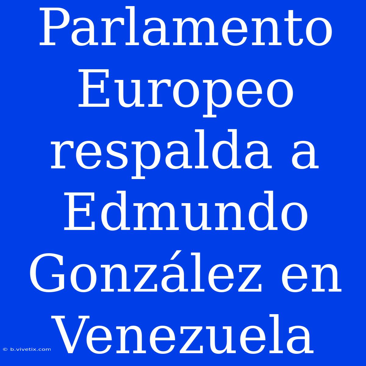 Parlamento Europeo Respalda A Edmundo González En Venezuela