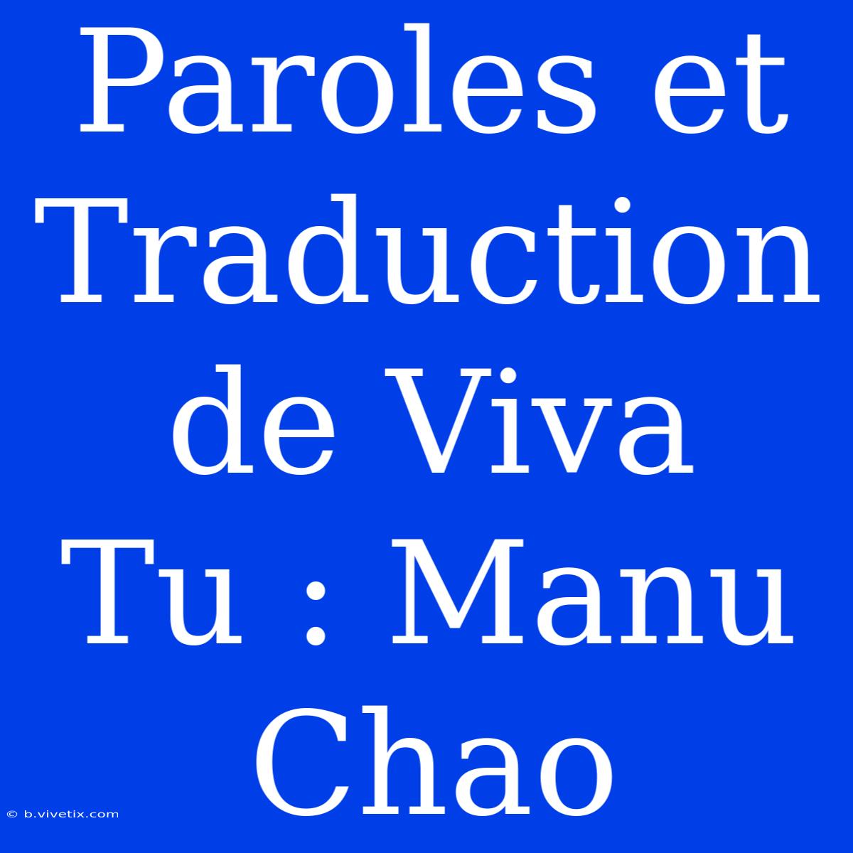 Paroles Et Traduction De Viva Tu : Manu Chao