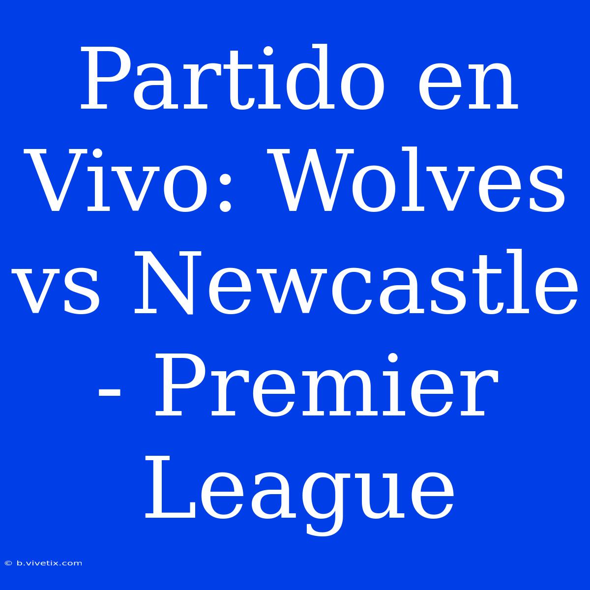 Partido En Vivo: Wolves Vs Newcastle - Premier League