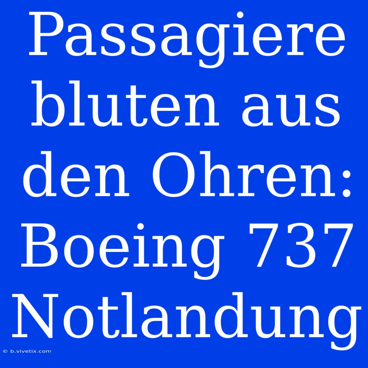 Passagiere Bluten Aus Den Ohren: Boeing 737 Notlandung