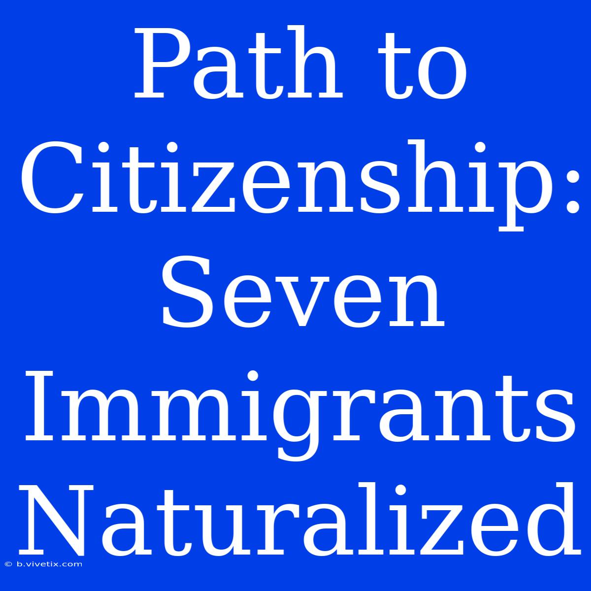 Path To Citizenship: Seven Immigrants Naturalized