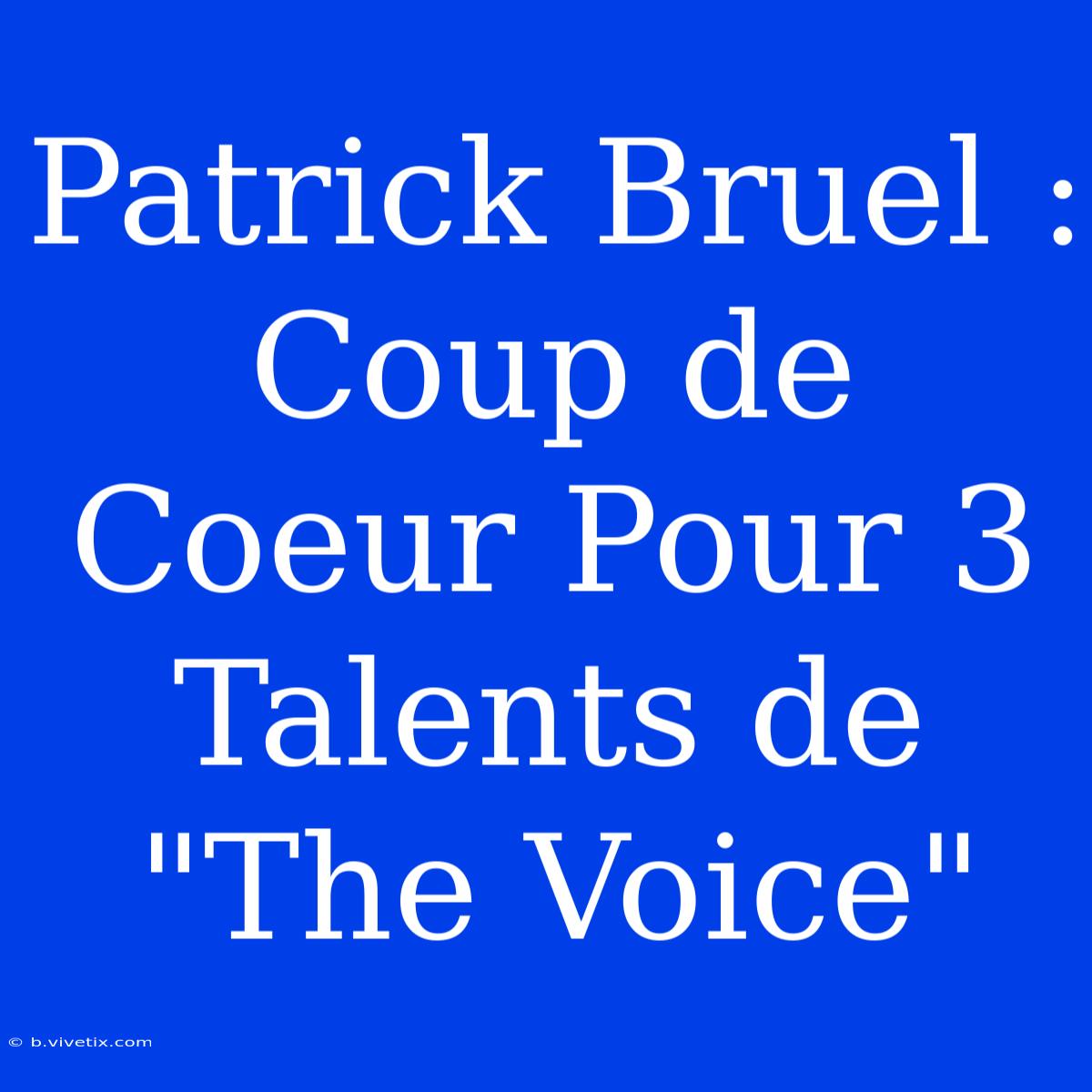 Patrick Bruel : Coup De Coeur Pour 3 Talents De 