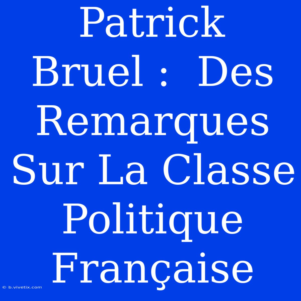 Patrick Bruel :  Des Remarques Sur La Classe Politique Française 