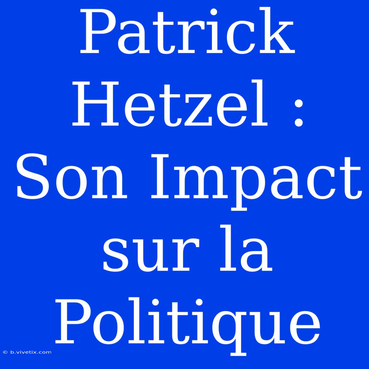 Patrick Hetzel : Son Impact Sur La Politique