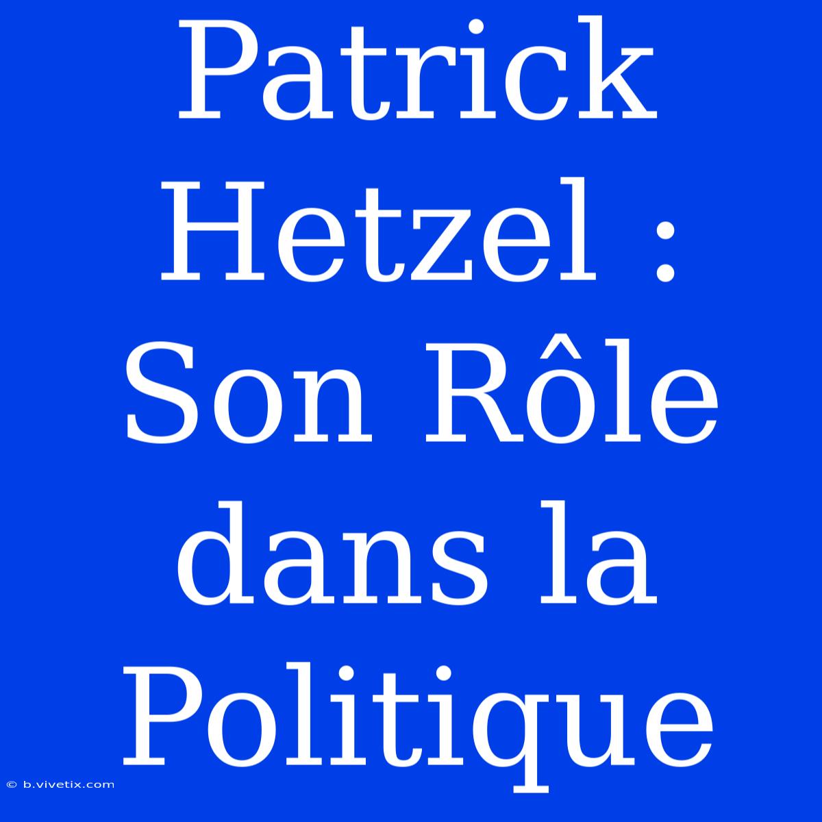 Patrick Hetzel : Son Rôle Dans La Politique