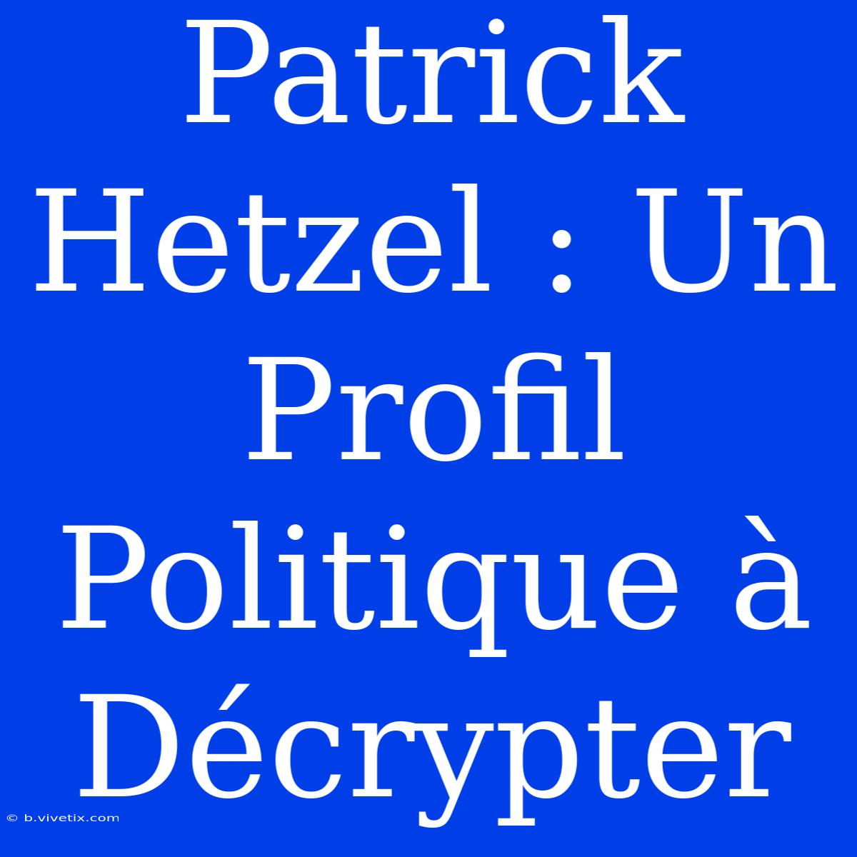 Patrick Hetzel : Un Profil Politique À Décrypter