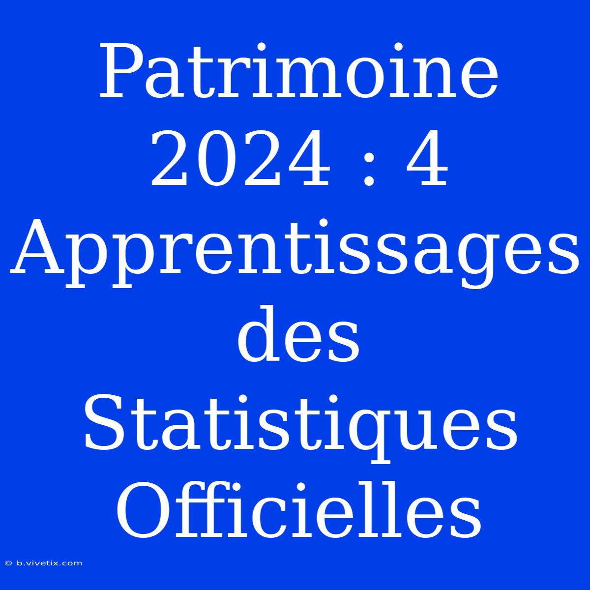 Patrimoine 2024 : 4 Apprentissages Des Statistiques Officielles