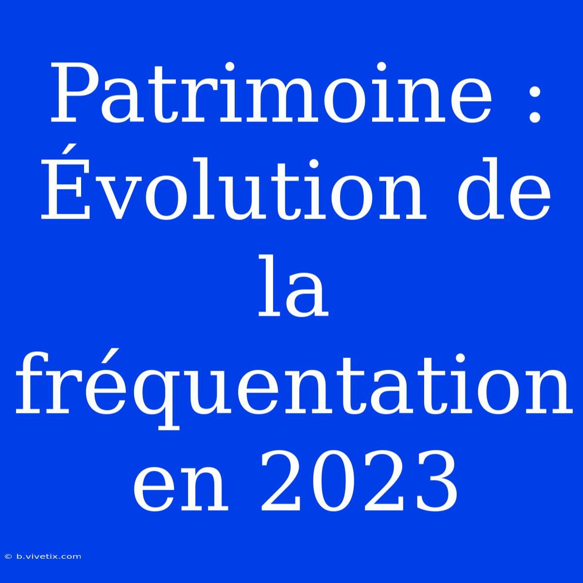 Patrimoine : Évolution De La Fréquentation En 2023