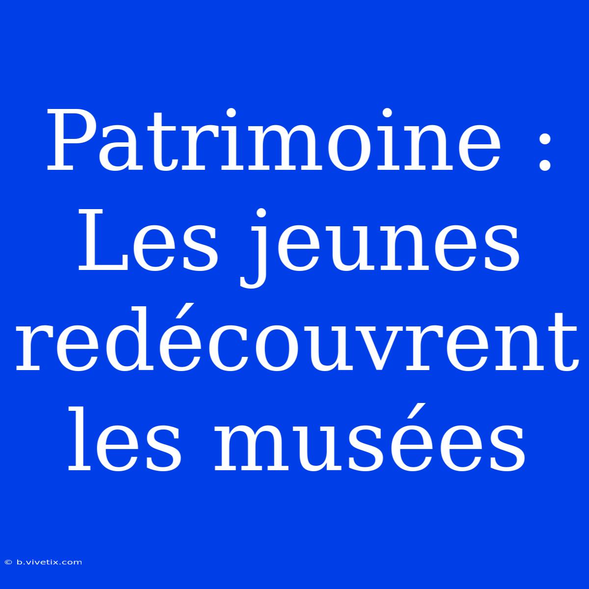 Patrimoine : Les Jeunes Redécouvrent Les Musées