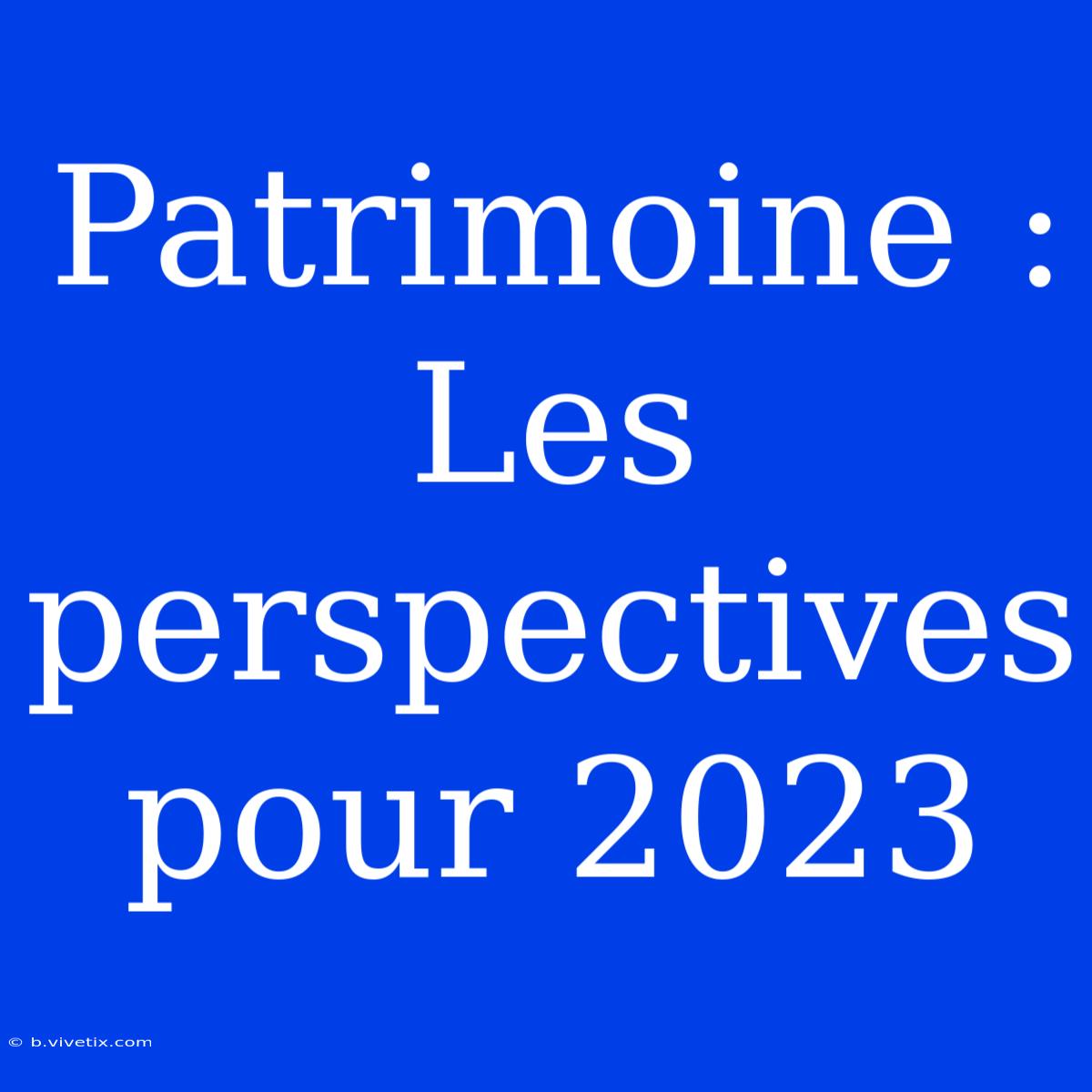 Patrimoine : Les Perspectives Pour 2023