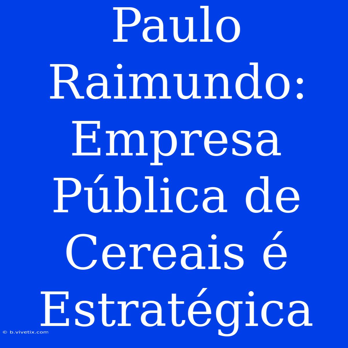 Paulo Raimundo: Empresa Pública De Cereais É Estratégica