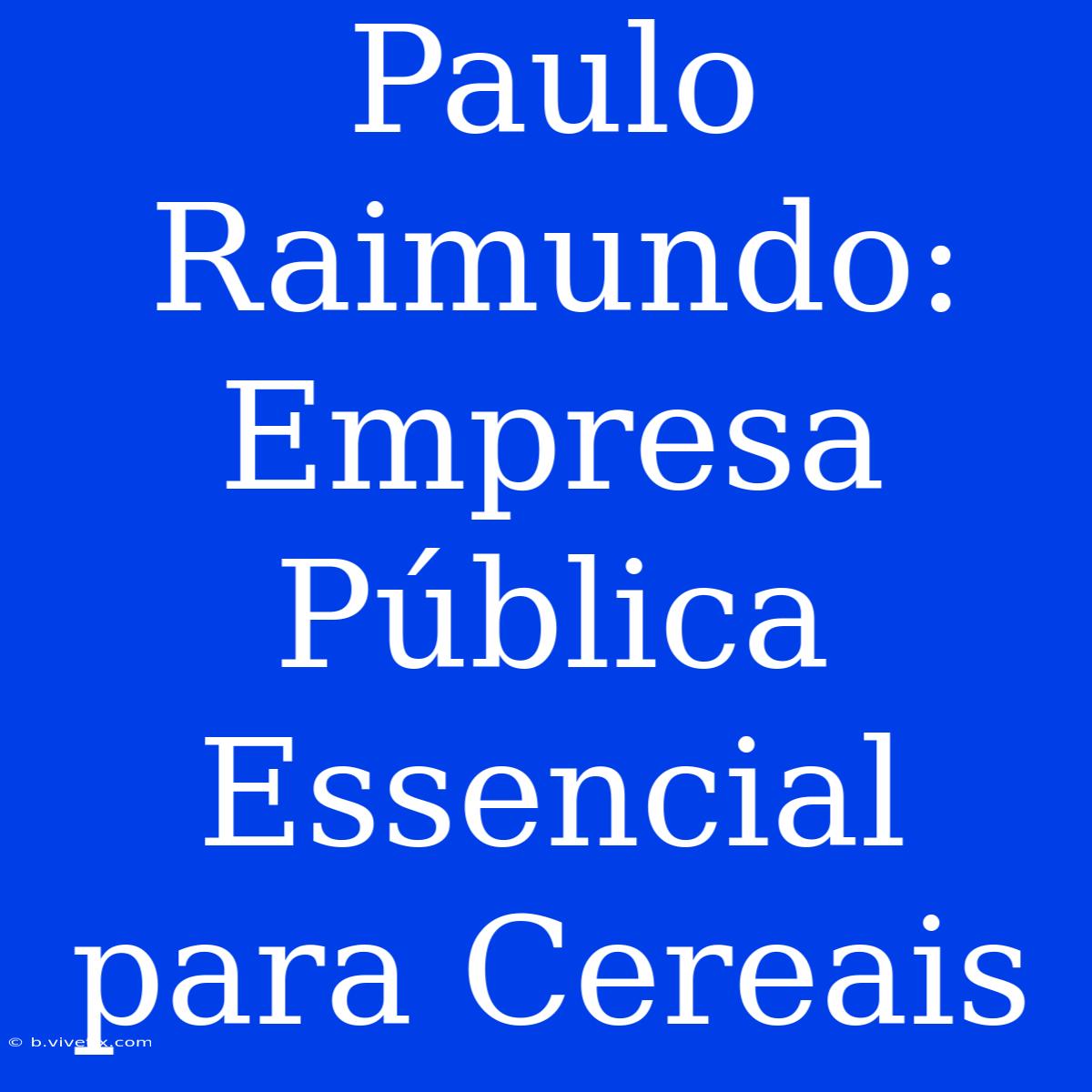 Paulo Raimundo: Empresa Pública Essencial Para Cereais