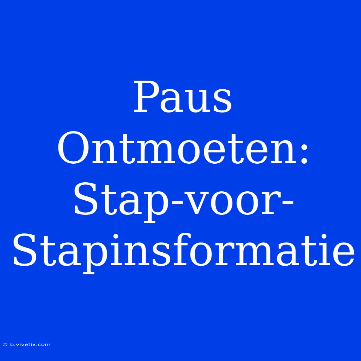 Paus Ontmoeten: Stap-voor-Stapinsformatie 