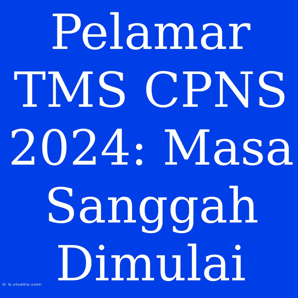 Pelamar TMS CPNS 2024: Masa Sanggah Dimulai