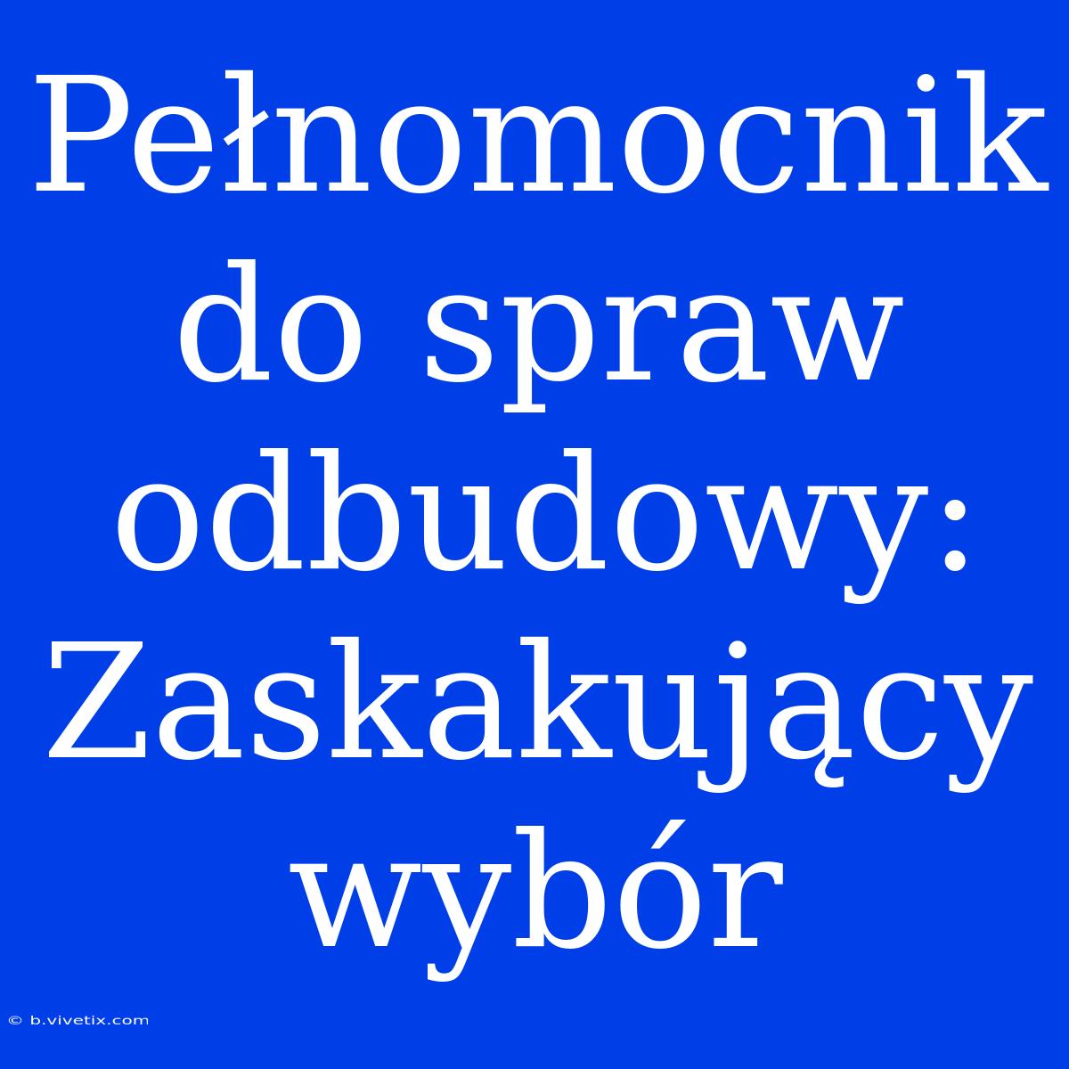 Pełnomocnik Do Spraw Odbudowy: Zaskakujący Wybór