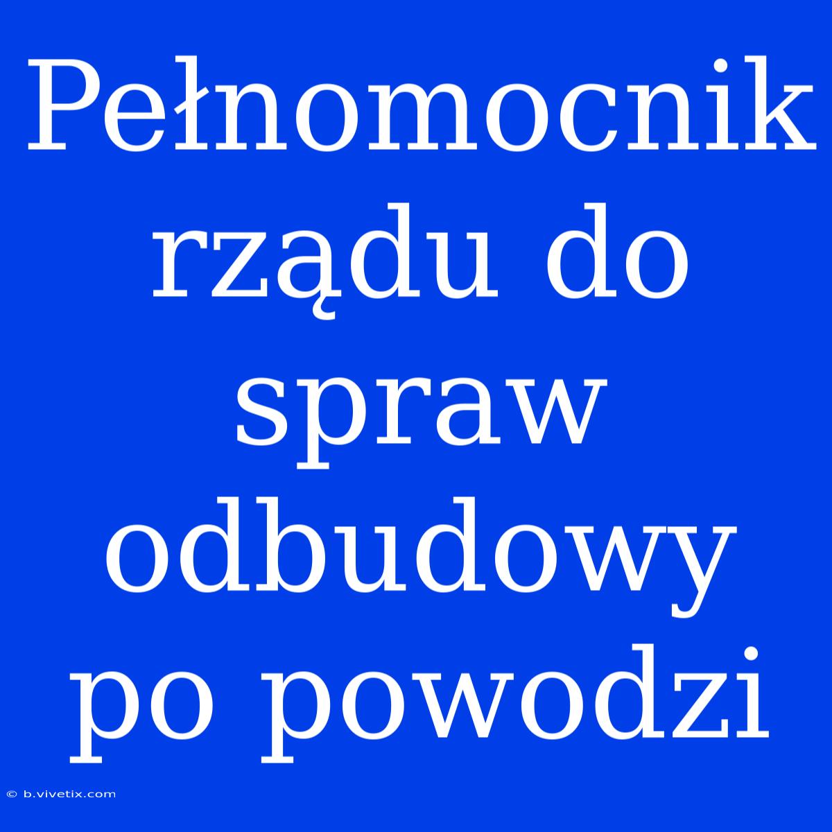 Pełnomocnik Rządu Do Spraw Odbudowy Po Powodzi