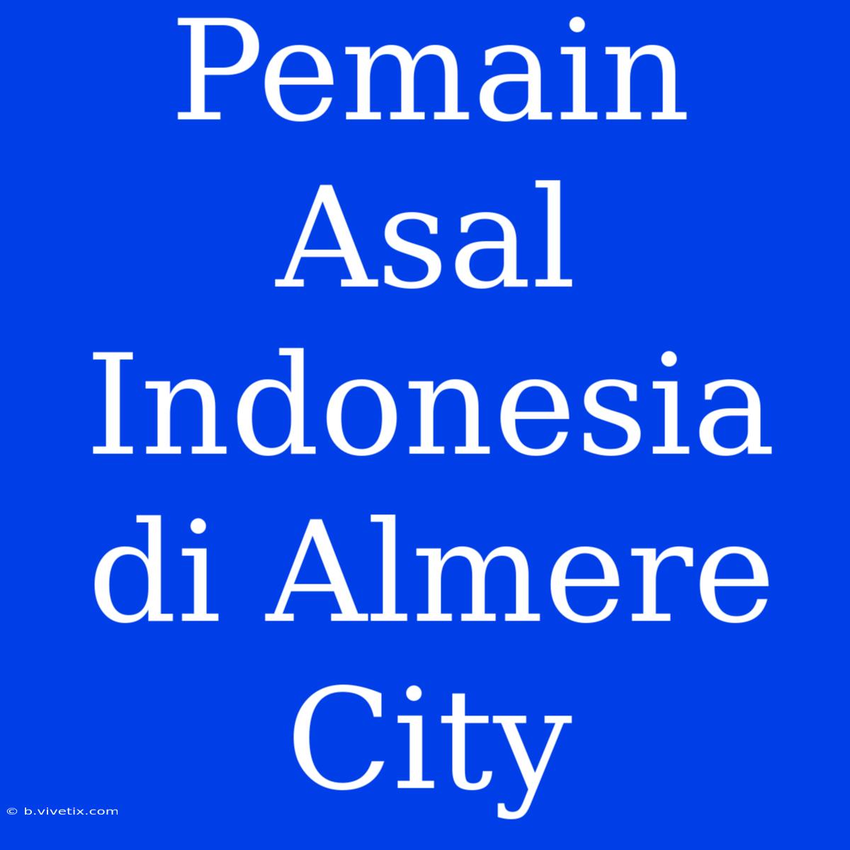 Pemain Asal Indonesia Di Almere City