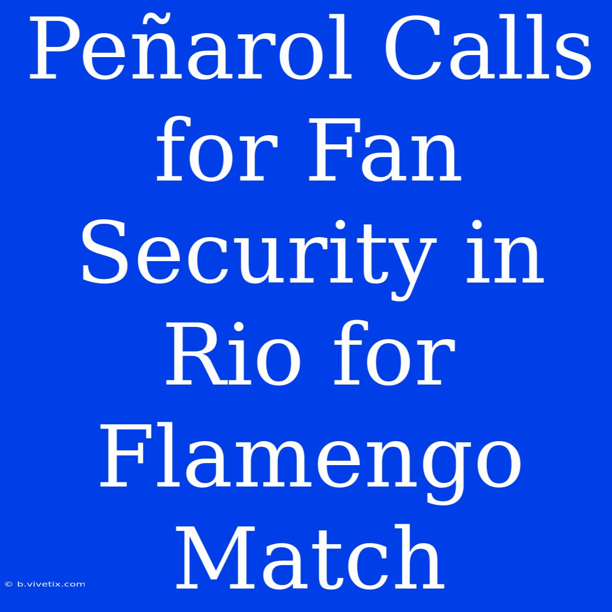 Peñarol Calls For Fan Security In Rio For Flamengo Match