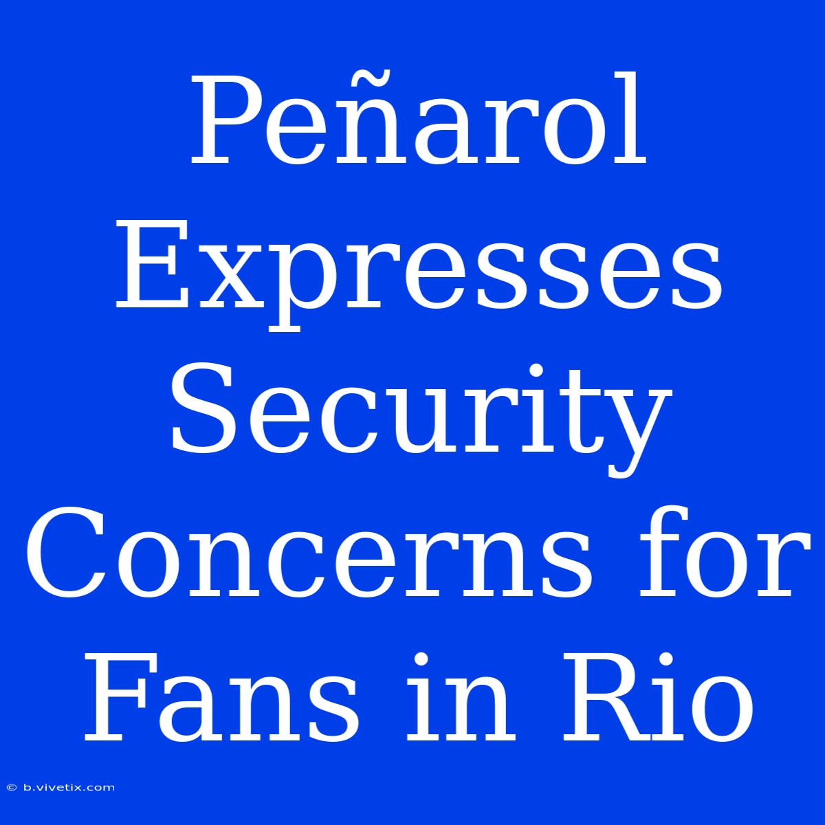 Peñarol Expresses Security Concerns For Fans In Rio 