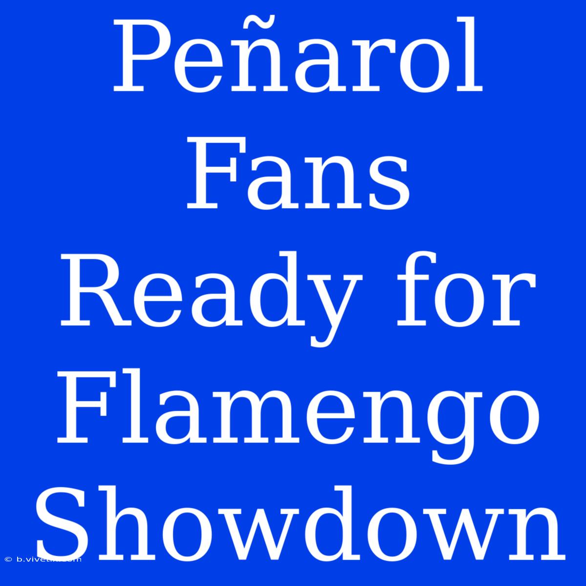 Peñarol Fans Ready For Flamengo Showdown