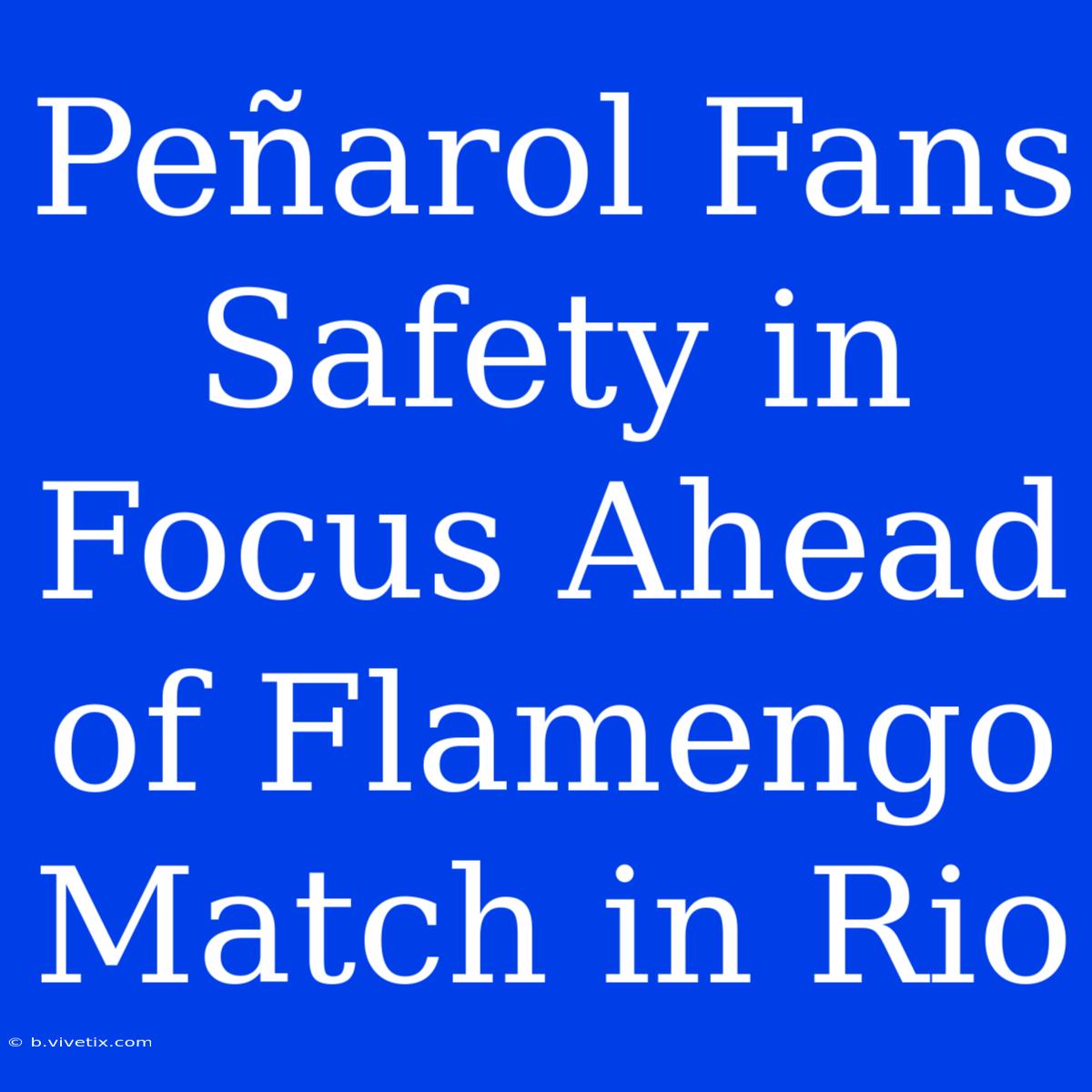 Peñarol Fans Safety In Focus Ahead Of Flamengo Match In Rio