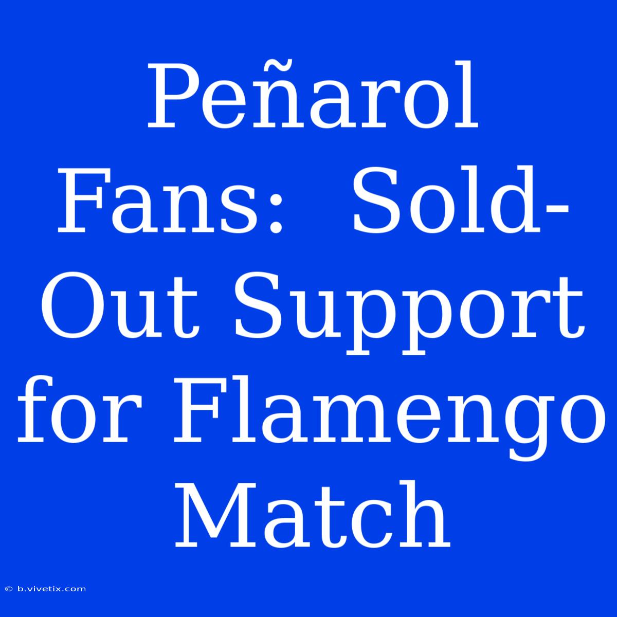 Peñarol Fans:  Sold-Out Support For Flamengo Match 